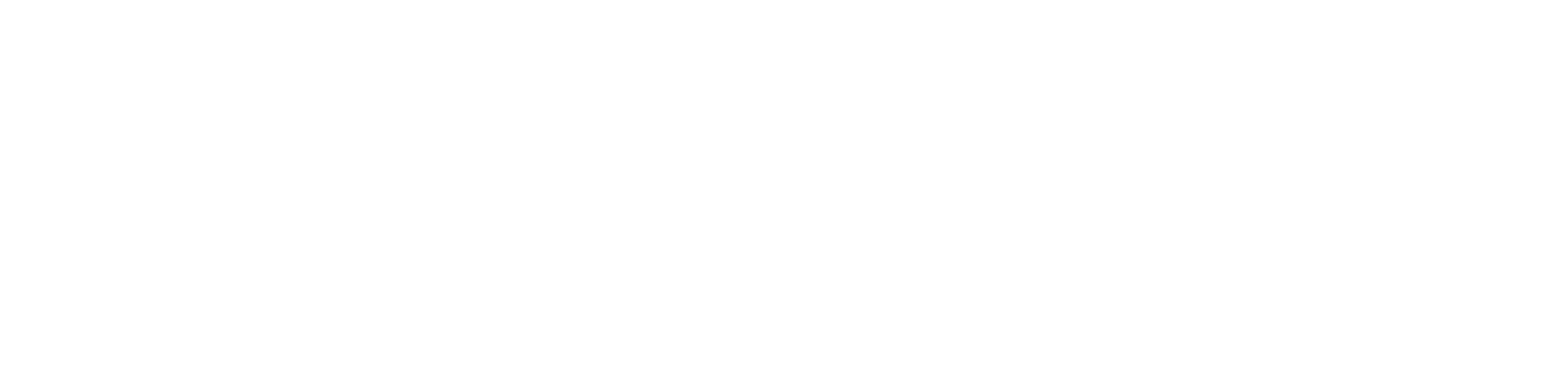 Nextwise wordmark